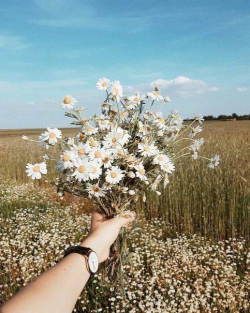 Среди беспорядка найдите простоту; среди раздора найдите гармонию. 04