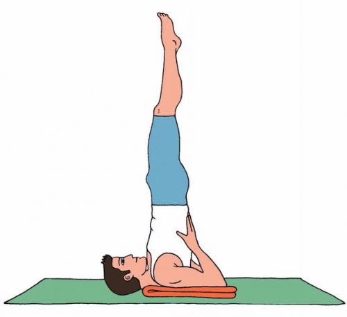 Комплекс асан для восстановления после перелетов. 05