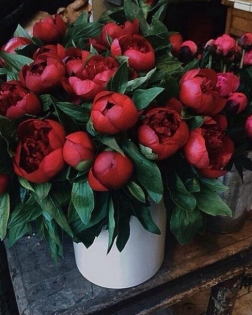 Среди беспорядка найдите простоту; среди раздора найдите гармонию. 06