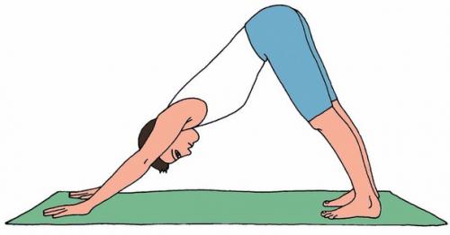 Комплекс асан для восстановления после перелетов. 01