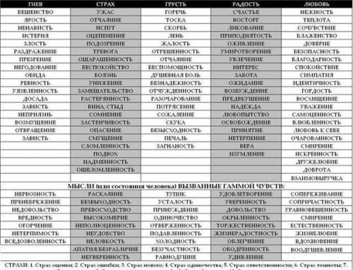 Мы определяем свои чувства.