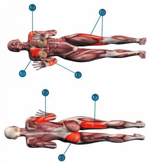 Чатуранга дандасана - поза посоха на четырех опорах. 02