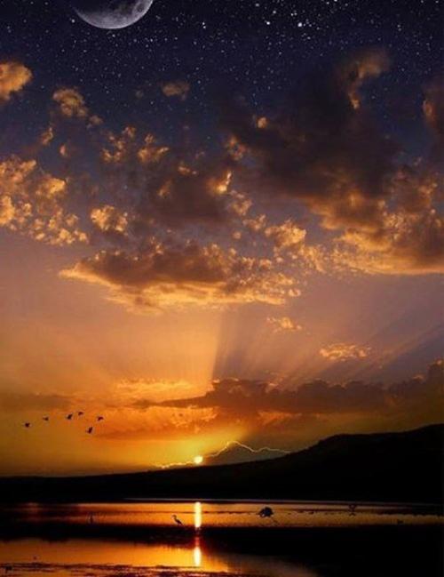 Просто хороший стих. 
