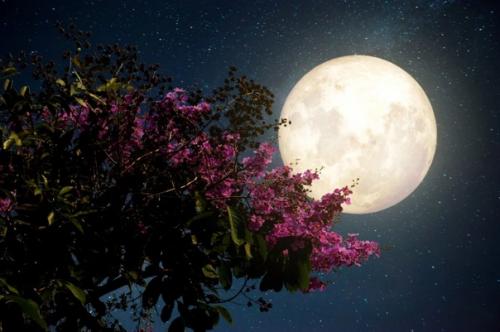 Смотрим и мы запоминаем!