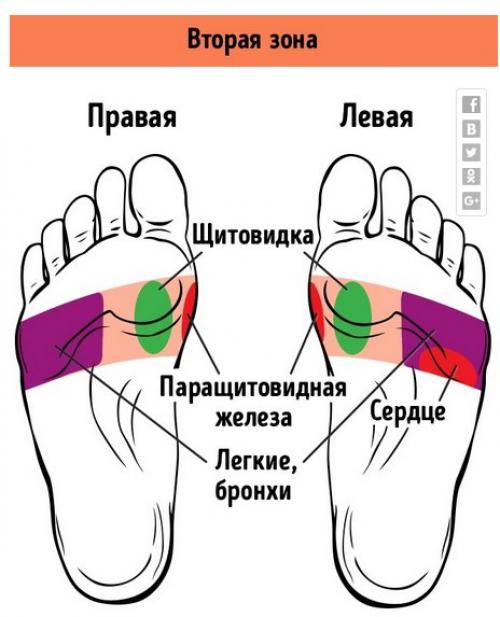 21 точка на стопах, массаж которых улучшает самочувствие. 02