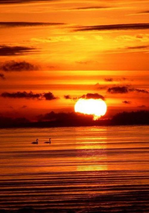 На Востоке говорят худшие враги человека. На Востоке говорят: "Худшие Враги Человека не Пожелали бы ему тех бед, Которые Могут Принести ему Собственные Мысли".