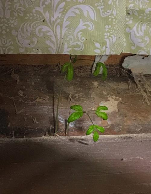 Атмосферные снимки.   Таким образом, если всмотреться, можно почувствовать, как в этих домах пахнет что-то старое, но родное одновременно. 05