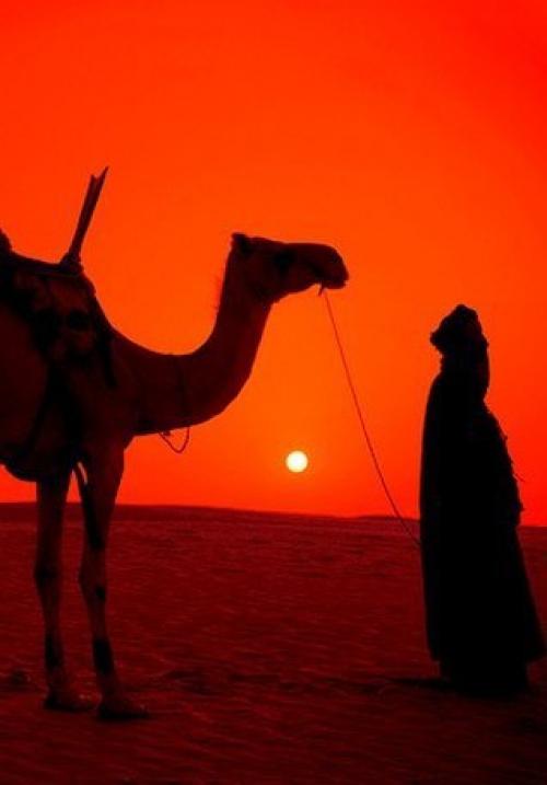 На Востоке говорят худшие враги человека. На Востоке говорят: "Худшие Враги Человека не Пожелали бы ему тех бед, Которые Могут Принести ему Собственные Мысли".