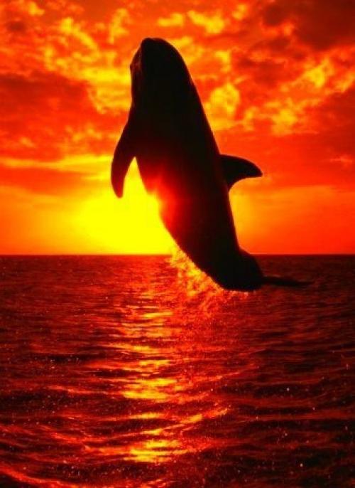 На Востоке говорят худшие враги человека. На Востоке говорят: "Худшие Враги Человека не Пожелали бы ему тех бед, Которые Могут Принести ему Собственные Мысли".