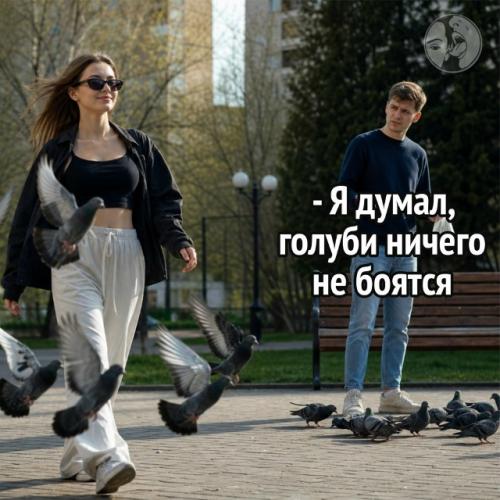 Охотничий инстинкт в юбке: учёные объяснили страх голубей перед дамами.
