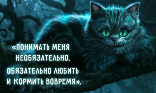 28 мудростей чеширского кота. Жизнь - это серьезно, но не очень