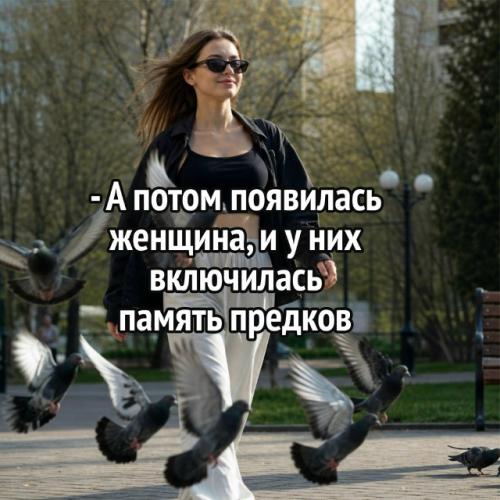 Охотничий инстинкт в юбке: учёные объяснили страх голубей перед дамами. 01 Охотничий инстинкт в юбке: учёные объяснили страх голубей перед дамами. 01