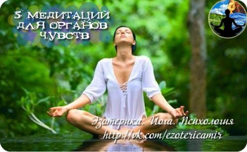 5 медитаций для органов чувств.