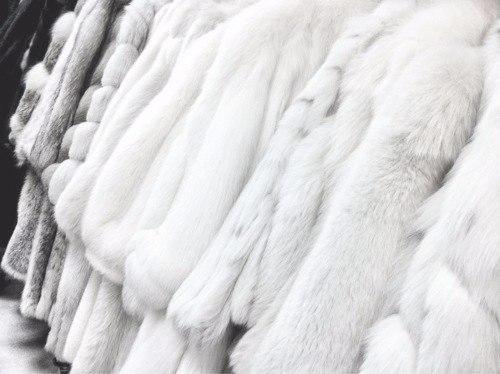 Мне нужна богиня!  