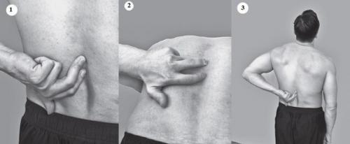 6 заболеваний, которые можно распознать с помощью изометрической гимнастики. 02 6 заболеваний, которые можно распознать с помощью изометрической гимнастики. 02