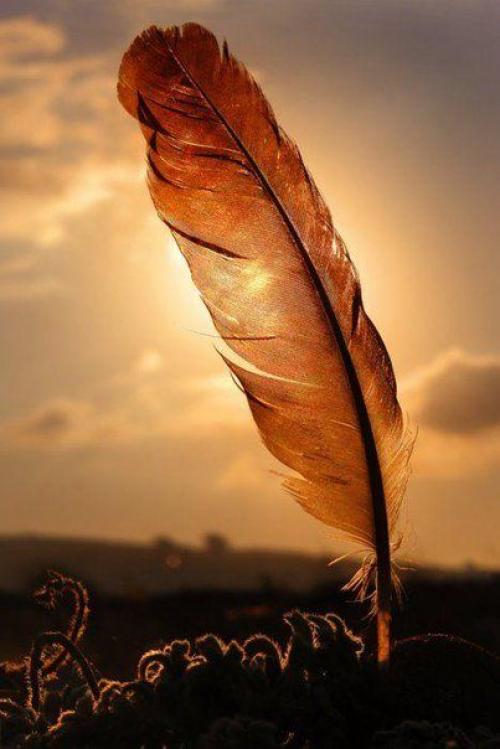 Человек обычно слишком поздно осознает, какие минуты в его жизни были самыми счастливыми.