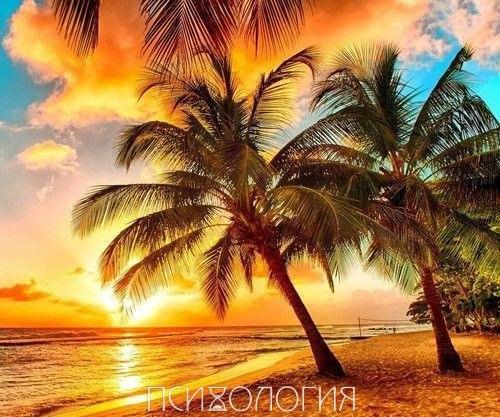 Человек обычно слишком поздно осознает, какие минуты в его жизни были самыми счастливыми. 04