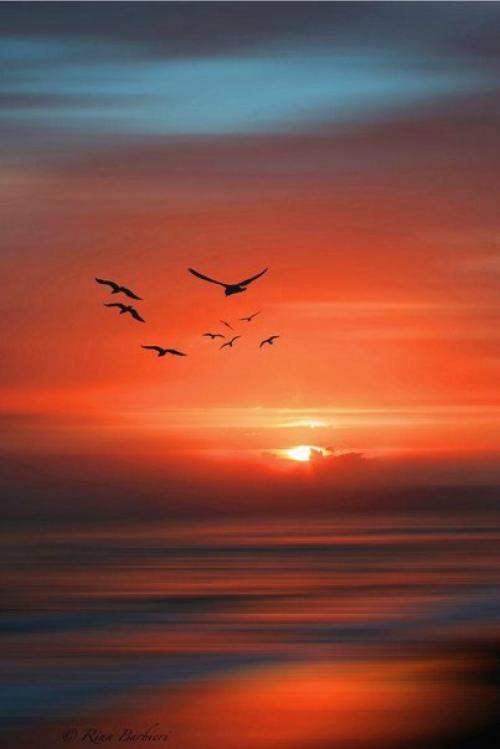 Человек обычно слишком поздно осознает, какие минуты в его жизни были самыми счастливыми. 03