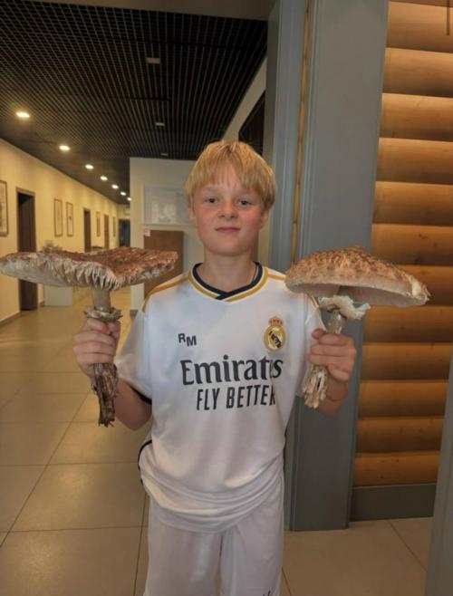 12-Летнего сына Яны рудковской и Евгения Плющенко - Александра, известного как гном гномыч, госпитализировали после ледового шоу.
