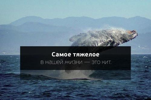 Как связаны страхи и самоценность?