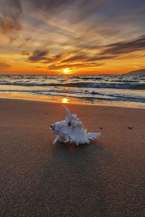 Человек обычно слишком поздно осознает, какие минуты в его жизни были самыми счастливыми. 05