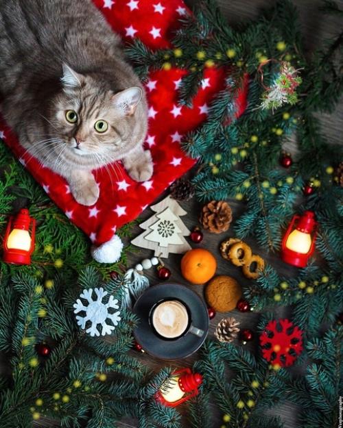 Маленькие жизненные инструкции. 03 Маленькие жизненные инструкции. 03