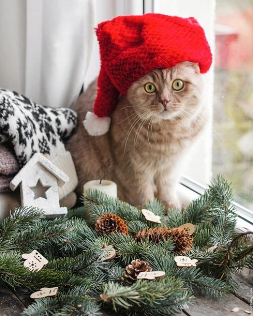 Маленькие жизненные инструкции. 05 Маленькие жизненные инструкции. 05