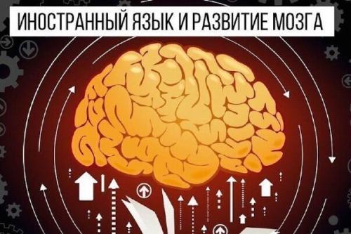 Иностранный язык и развитие мозга: 6 удивительных фактов.