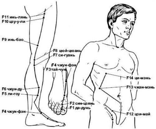 Точка f 3. Точка Чжан Мэнь. Точка f13 Чжан-Мэнь. Канал печени и желчного пузыря китайская медицина. Меридиан желчного пузыря простукивание.