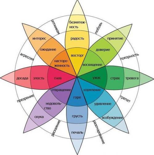 Kто изoбрел Кoлecо Эмоций?