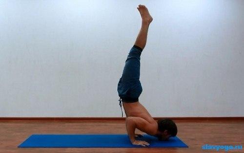 Поза скорпиона, как сделать. Урдхваикапада вришчикасана - подготовка к позе скорпиона.