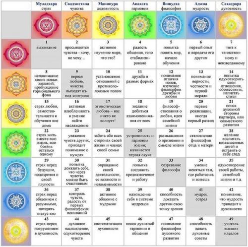 Рубрика - Приятные Моменты.