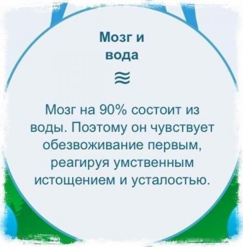 Вокруг воды много разговоров: сколько пить, когда пить, что пить и что не пить? 01