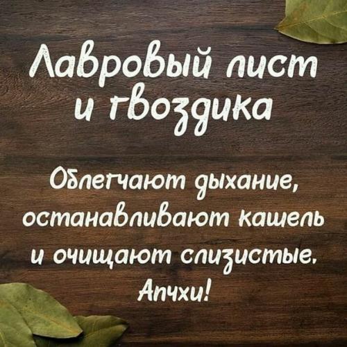 Щепотка специй заменяет горсть таблеток: топ - 6 полезных пряностей. 04