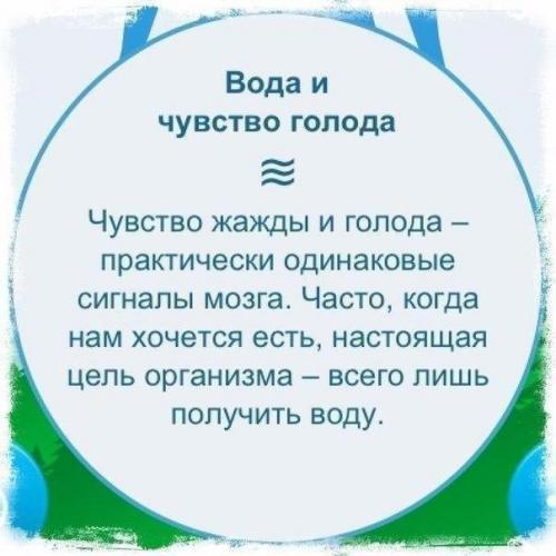 Вокруг воды много разговоров: сколько пить, когда пить, что пить и что не пить? 05
