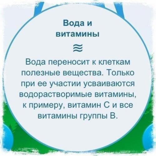 Вокруг воды много разговоров: сколько пить, когда пить, что пить и что не пить? 06