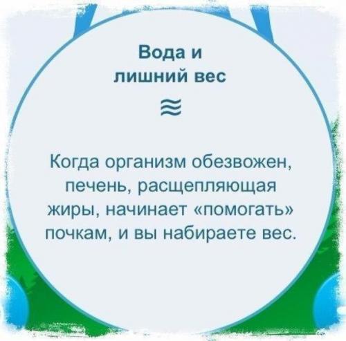 Вокруг воды много разговоров: сколько пить, когда пить, что пить и что не пить? 03