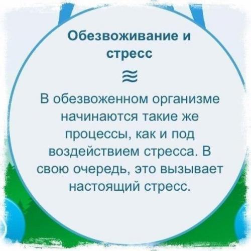 Вокруг воды много разговоров: сколько пить, когда пить, что пить и что не пить? 04