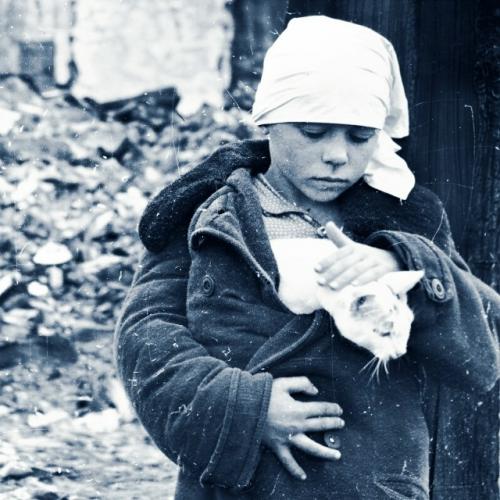 Когда нужно о ком-то заботиться - это спасает жизнь. 01