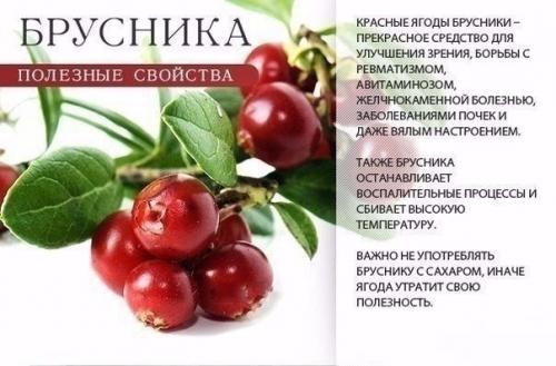 Красные овощи, фрукты и ягоды в начале 21 века попали в немилость врачей - педиатров. 02