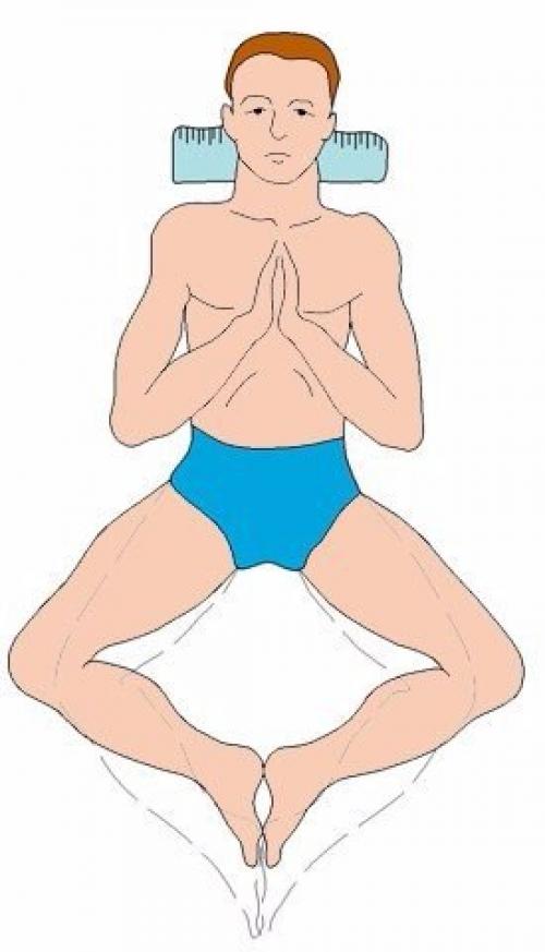 НИШИ КАЦУДЗО Золотые правила здоровья упражнения. Золотые правила здоровья кацудзо ниши.