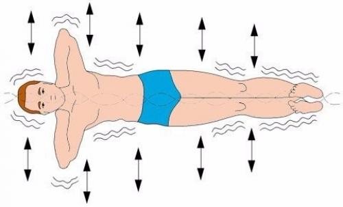 НИШИ КАЦУДЗО Золотые правила здоровья упражнения. Золотые правила здоровья кацудзо ниши.