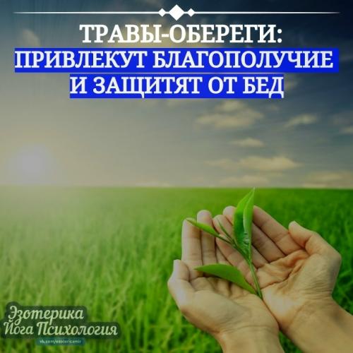 Травы - обереги: привлекут благополучие и защитят от бед.
