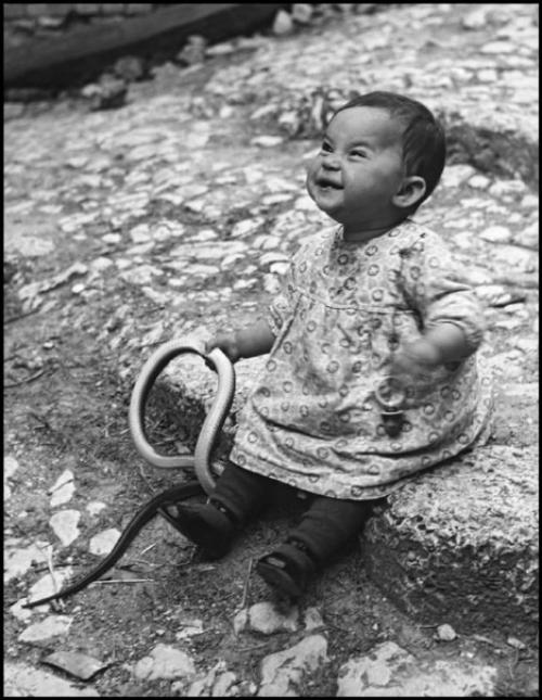 Никогда не разговаривайте с подростками о классической литературе.