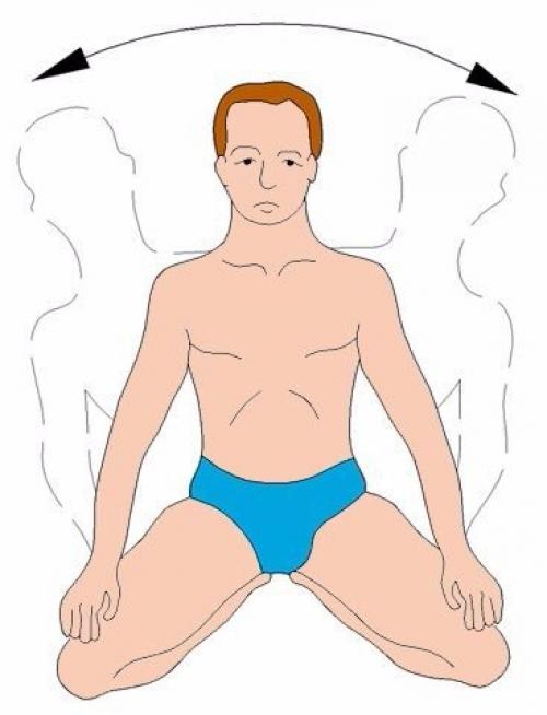 НИШИ КАЦУДЗО Золотые правила здоровья упражнения. Золотые правила здоровья кацудзо ниши.