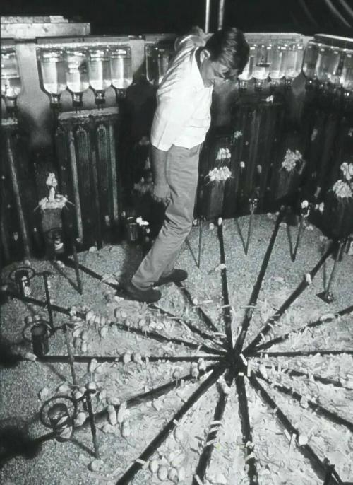 В 1968 году американский учёный провёл необычный эксперимент под названием вселенная-25. 01