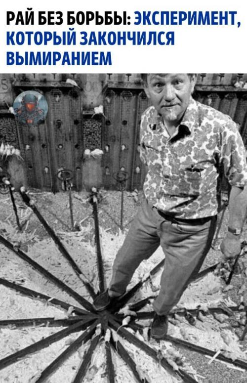 В 1968 году американский учёный провёл необычный эксперимент под названием 