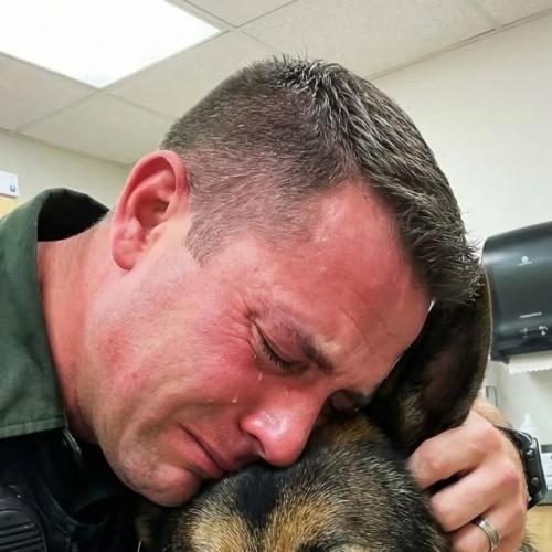 Прощание.
В тревожной мгле, отчаянно рыдая, моля и проклиная небеса, лежит, от горя скорчившись, хозяин, обняв за шею старенького пса. 
