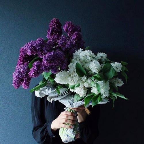 Пабло неруда - Медленно Умирает.