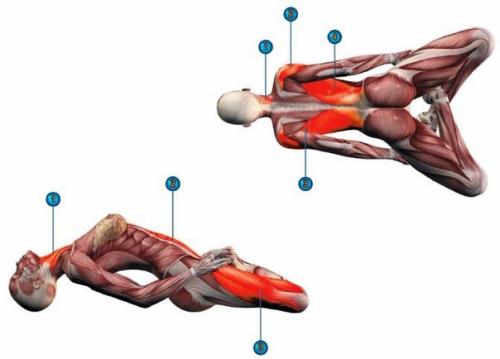 Матсиасана.
(Поза рыбы) для повышения эластичности мышц.